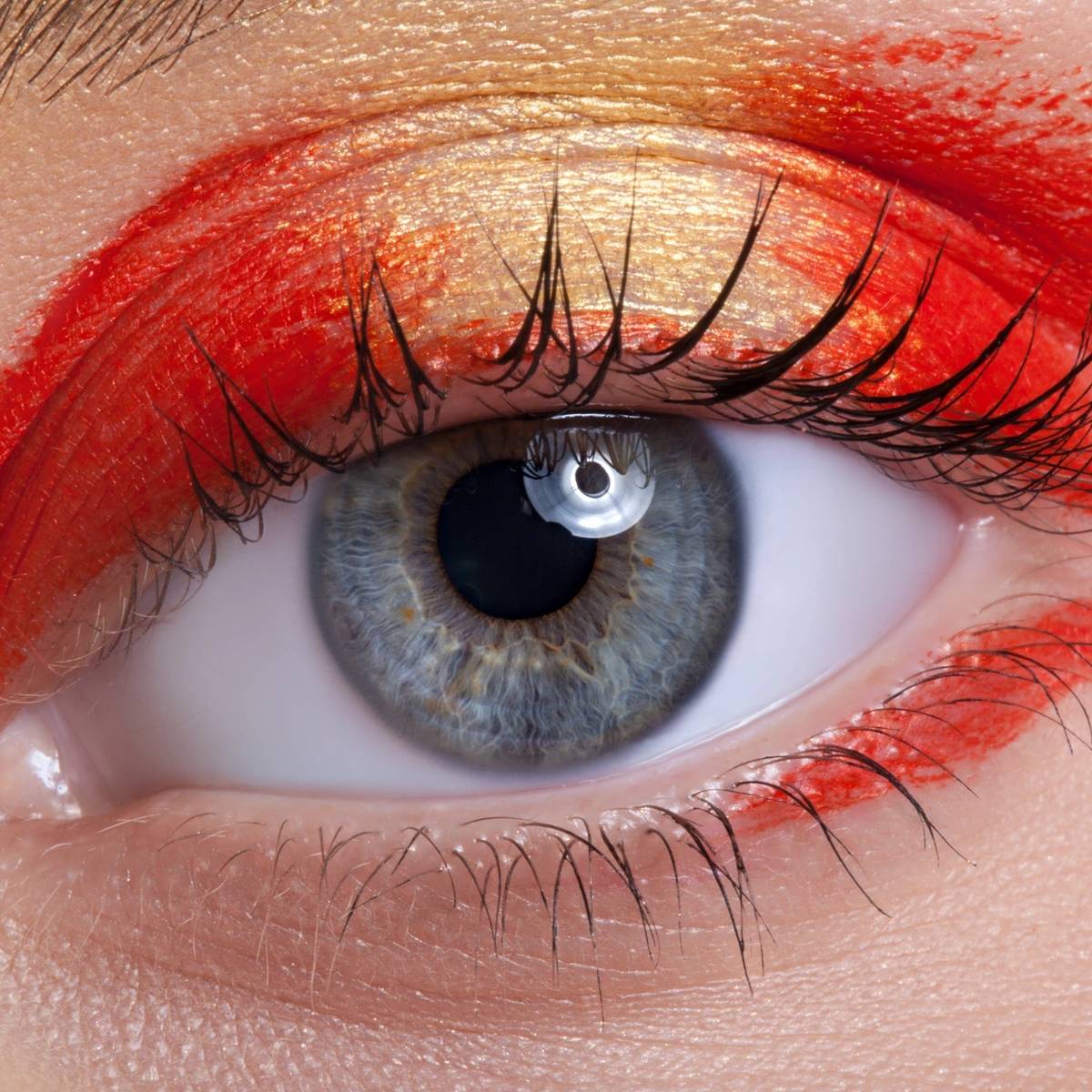 Makeup By Anju Makeup Brush Set - Digital Tutorial Included